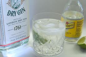 Tips For Pairing Gin N Tonic Water